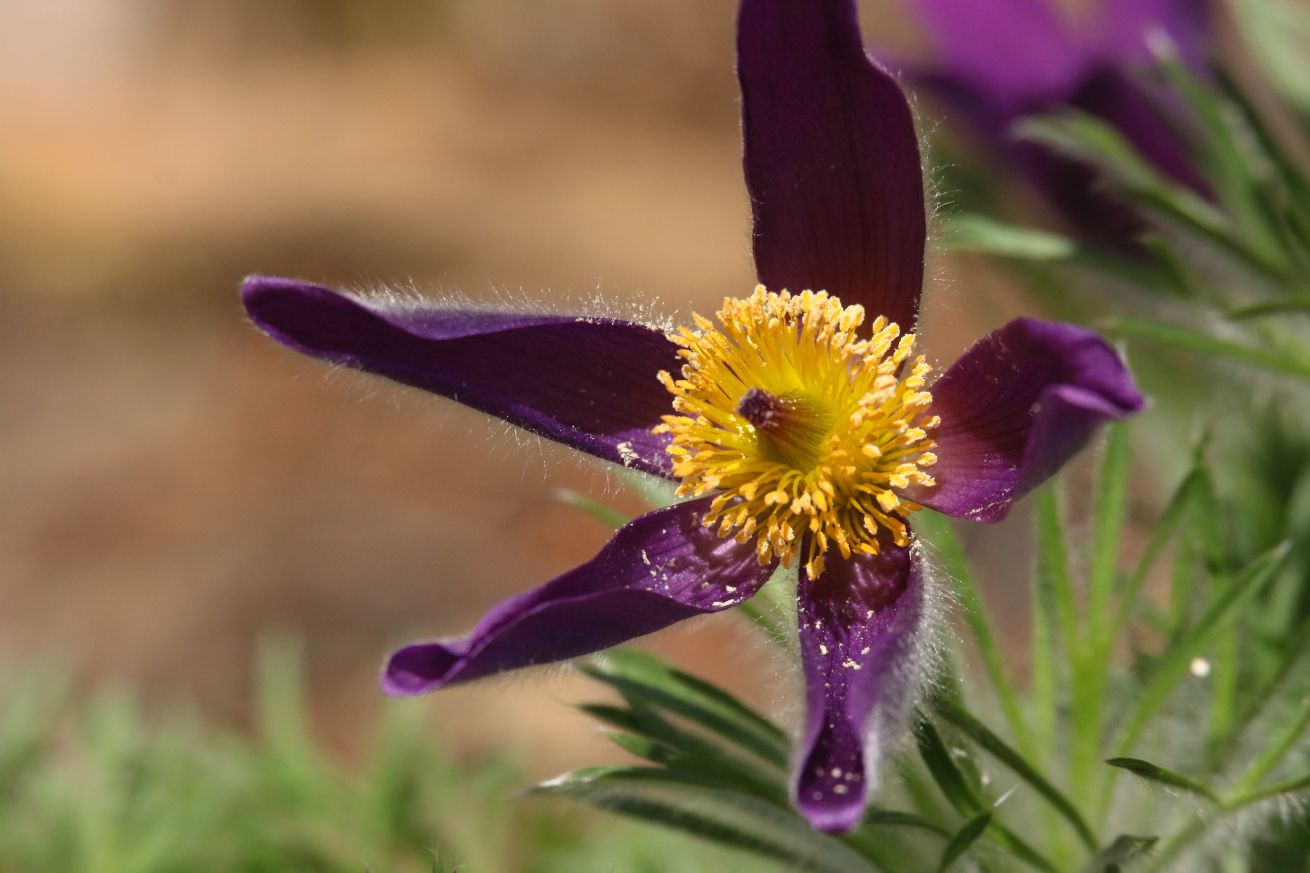2015 04 18 HTP 000042067
